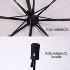 Luffy/Zoro Carry Your Pirate Dream with Transparent Umbrella - Straw Hat Crew by Your Side